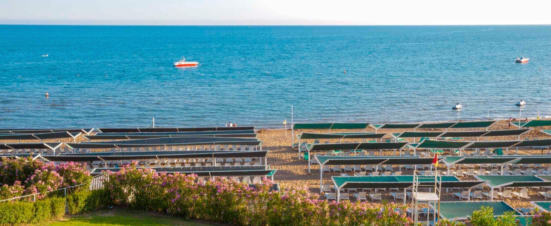 Billede av hotellet Can Garden Resort - nummer 5 af 41